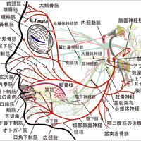 画像1367