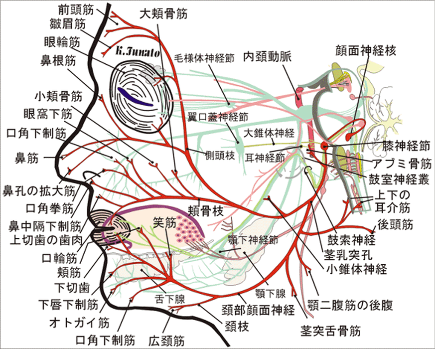 画像1367