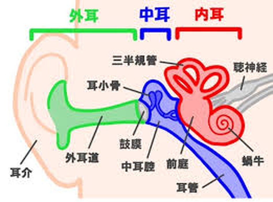 画像1391