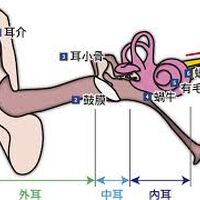 画像1397