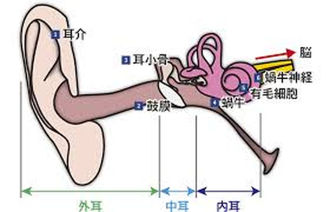 画像1397