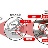 画像1414