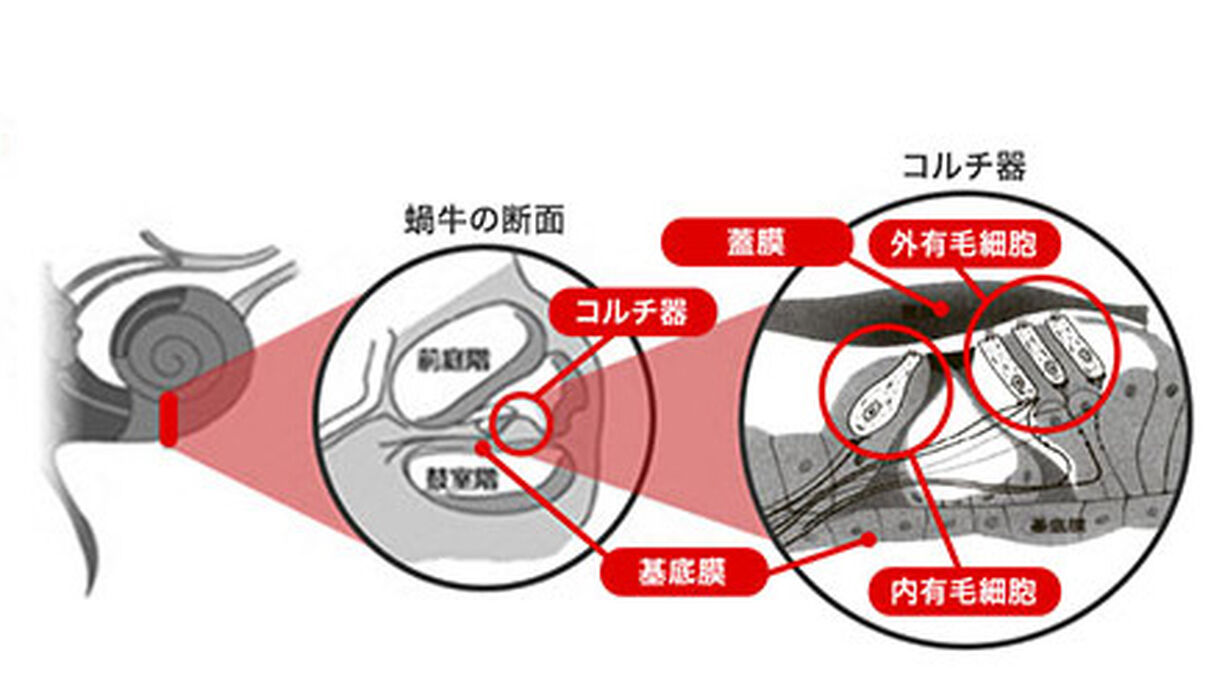 画像1414